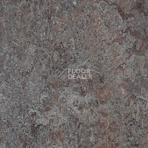 Линолеум Forbo Marmoleum Marbled Vivace 3421-342135 oyster mountain фото 1 | FLOORDEALER